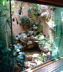 Jardim de Inverno com Cascata